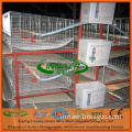 Broiler Chicken Cage China Supplier